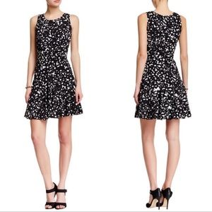 Diane Con Furstenberg | Clara Garden Daisy sleeveless fit and flare floral dress